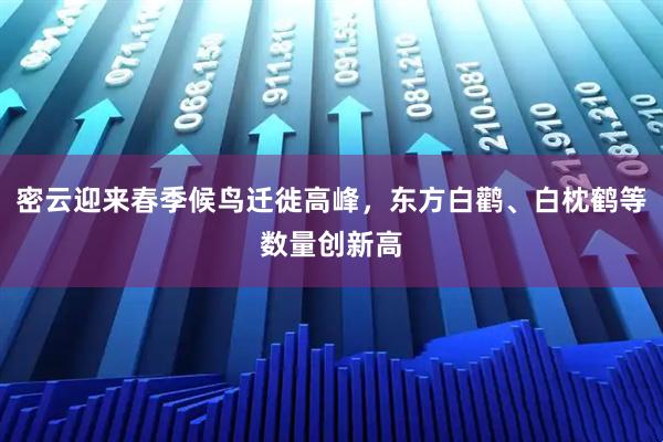 密云迎来春季候鸟迁徙高峰，东方白鹳、白枕鹤等数量创新高